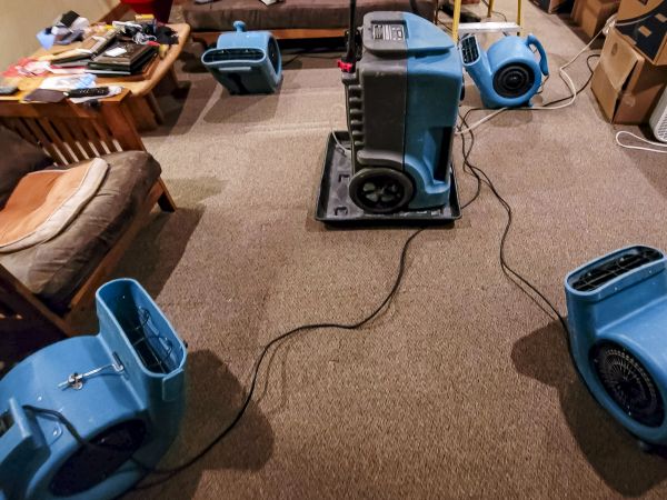 Cost of Flood Damage Recovery in Sun City Center