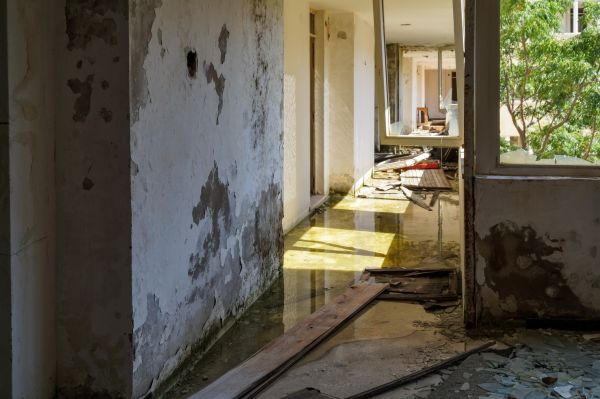 Cost of Water Removal Service in Sun City Center