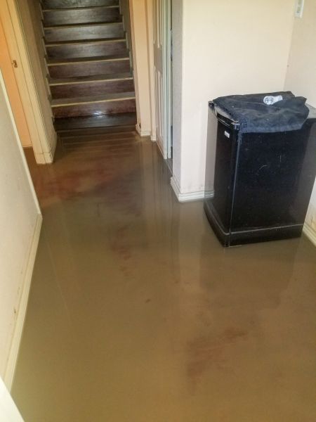 Cost of Emergency Water Removal in Sun City Center