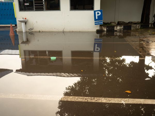 Cost of Storm Damage Repair in Sun City Center