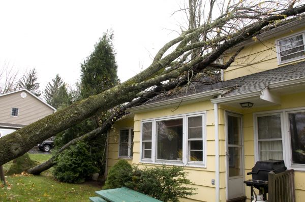 Cost of Hurricane Damage Repair in Sun City Center