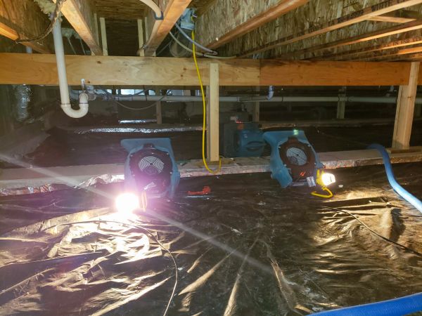 Cost of Crawlspace Water Removal in Sun City Center