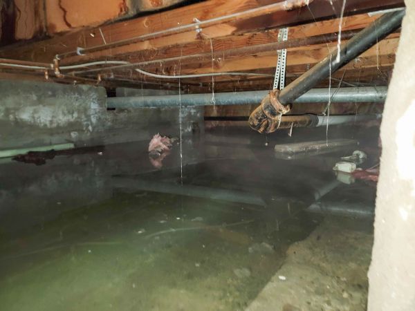 Cost of Crawlspace Water Restoration in Sun City Center