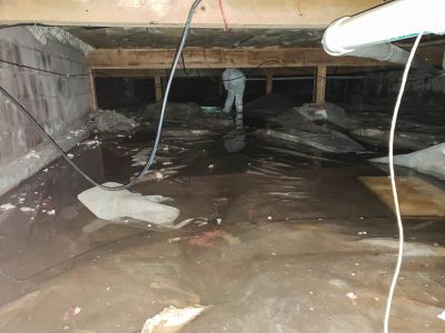 Expert Water Damage Restoration