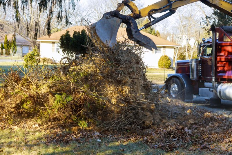 Debris Removal Services