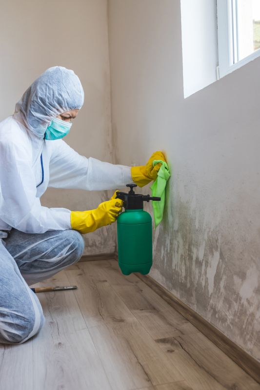 Water and Mold Removal